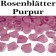 Rosenblaetter Purpur 100 Stueck