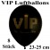 VIP Luftballons, 8 Stück