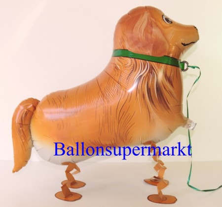 Golden-Retriever-Airwalker-Luftballon