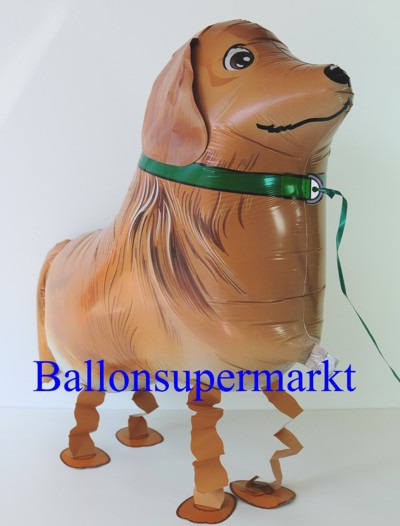 Lustiger-Golden-Retriever-Luftballon-mit-Helium