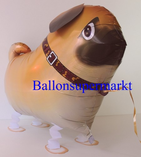 Lustiger-Mops-Luftballon-mit-Helium