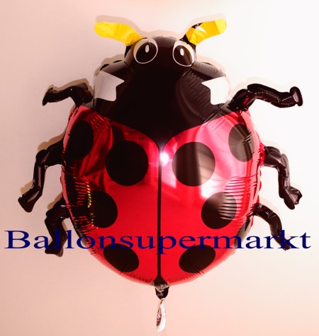 Maikaefer-Luftballon-aus-Folie, Marienkäfer