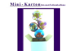 Kleiner Karton - Kleiner Karton